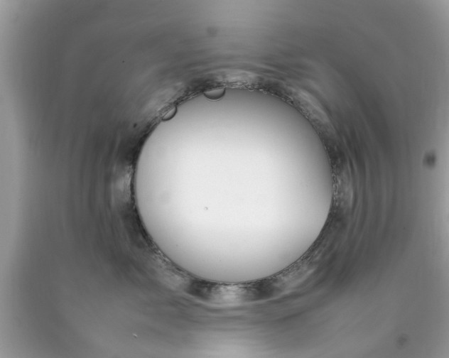 X0000090430717200707272131