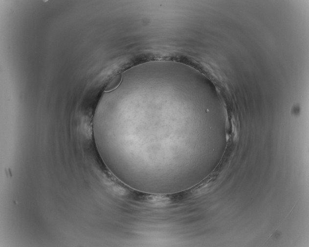 X0000090430719200707272131