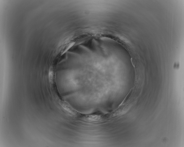 X0000090430720200707272131