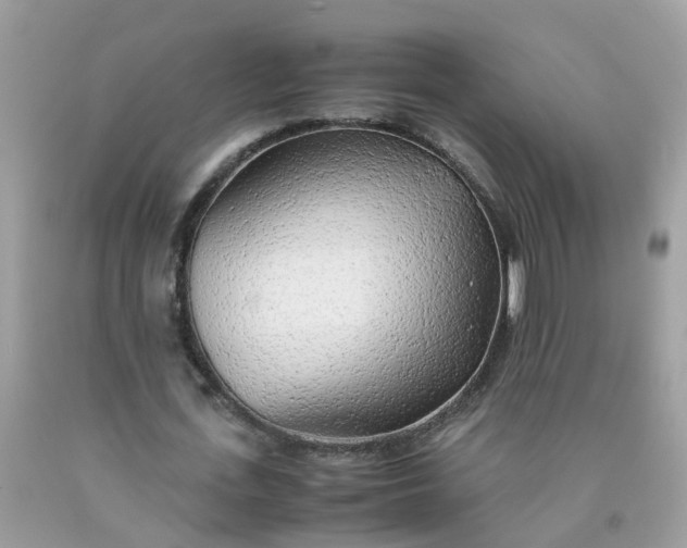 X0000090430723200707272131