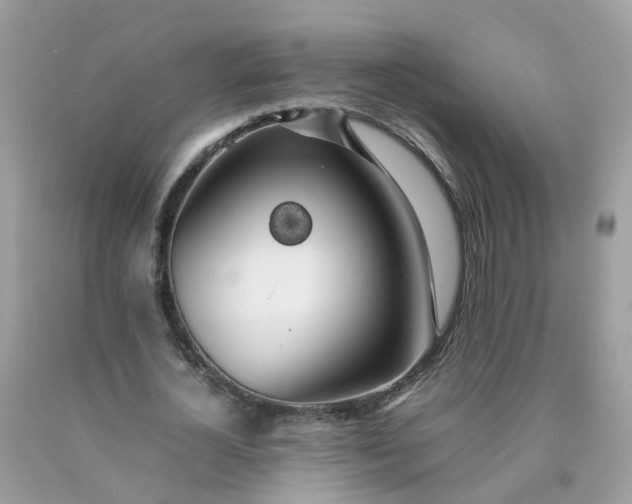 X0000090430724200707272131