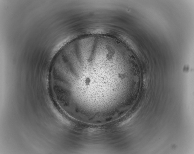 X0000090430725200707272131