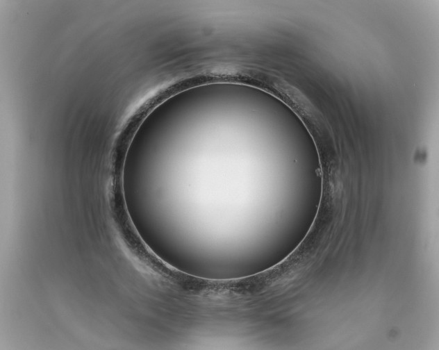 X0000090430728200707272131