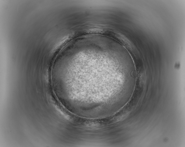 X0000090430729200707272131