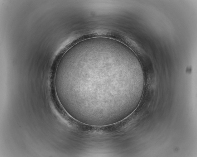 X0000090430730200707272131