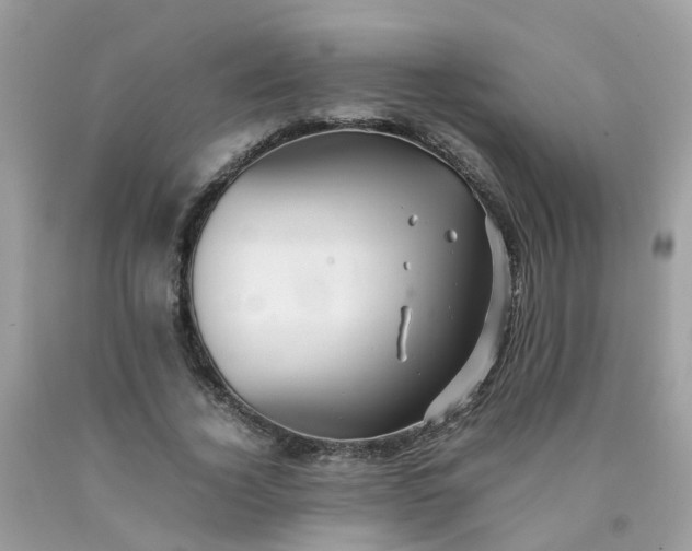 X0000090430732200707272131