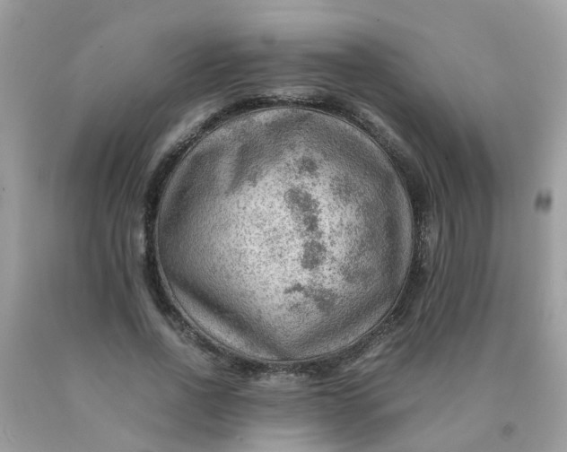 X0000090430734200707272131