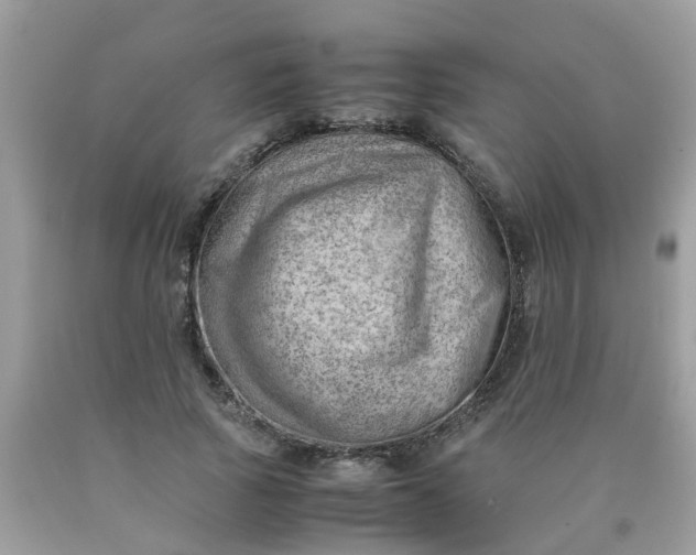 X0000090430737200707272131