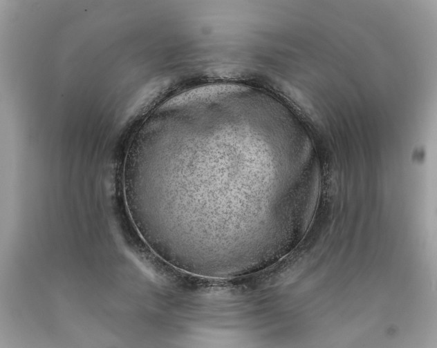 X0000090430738200707272131