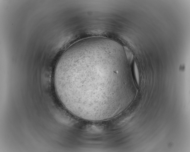 X0000090430739200707272131