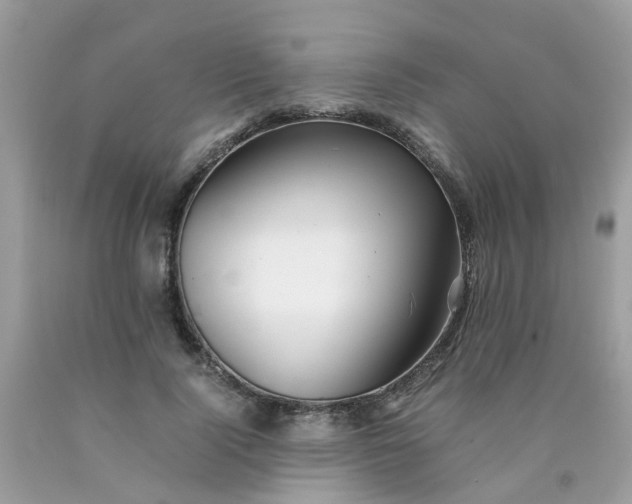 X0000090430740200707272131