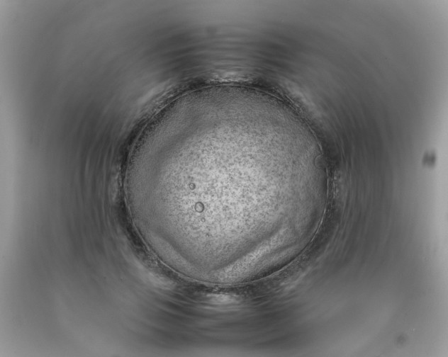 X0000090430741200707272131