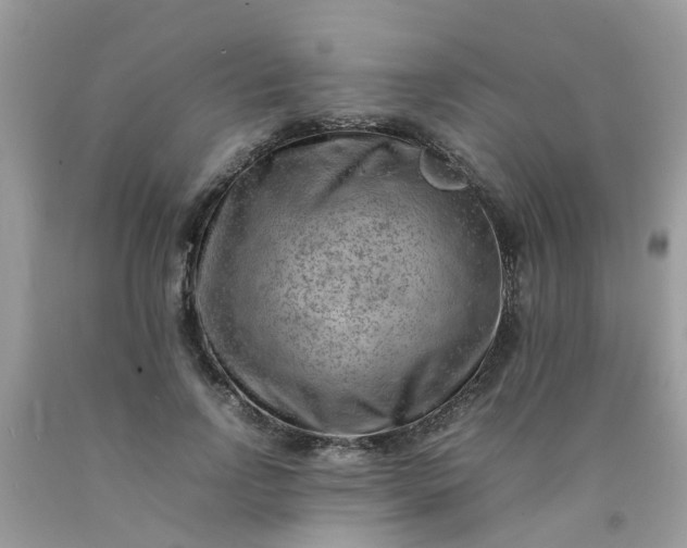 X0000090430742200707272131