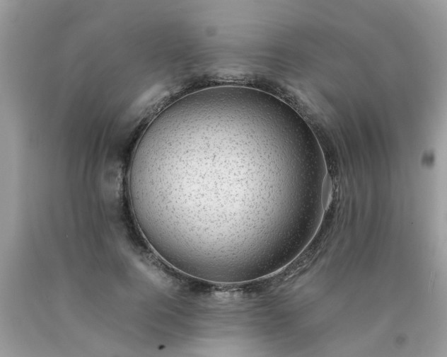 X0000090430744200707272131