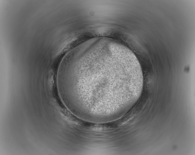 X0000090430746200707272131