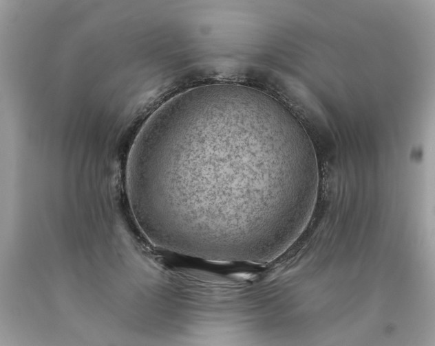 X0000090430748200707272131