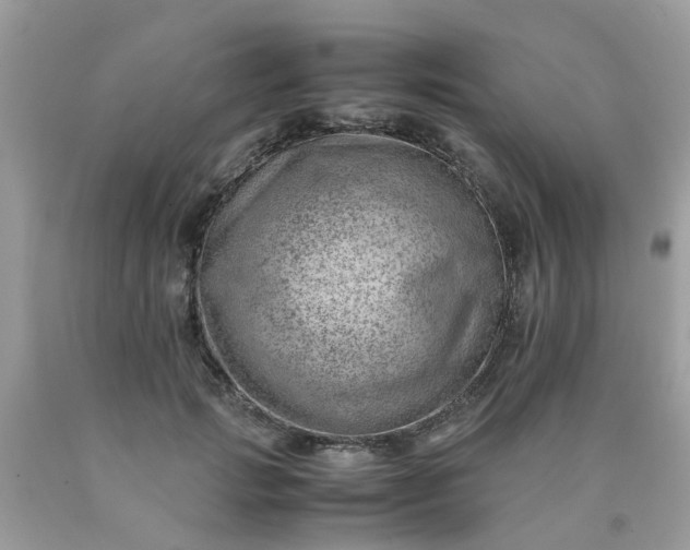 X0000090430749200707272131