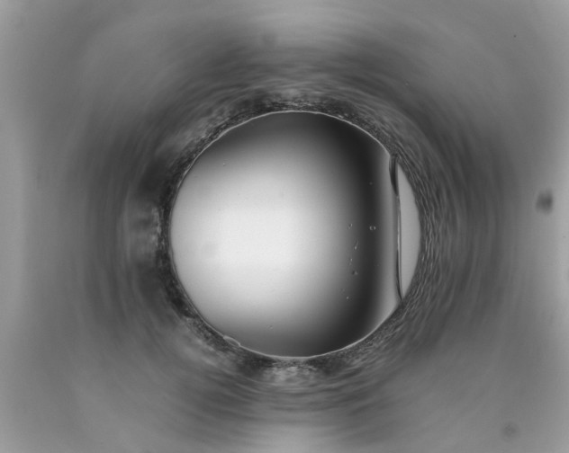 X0000090430752200707272131