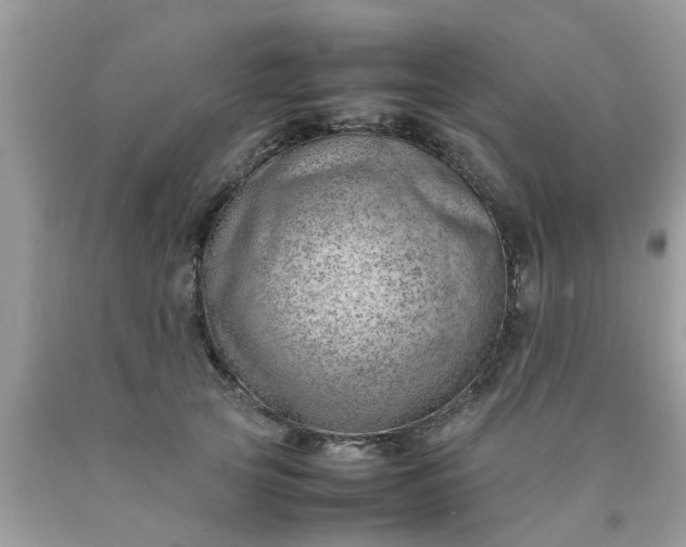 X0000090430753200707272131