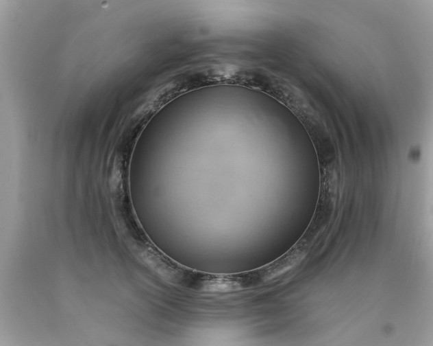 X0000090430754200707272131