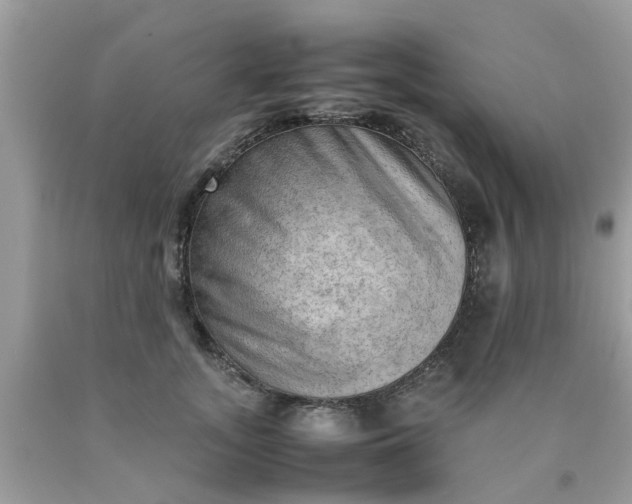 X0000090430755200707272131