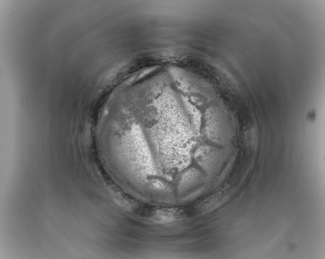 X0000090430757200707272131