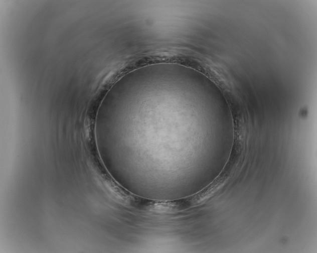 X0000090430758200707272131