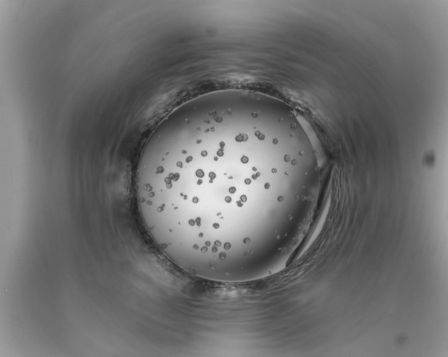 X0000090430760200707272131