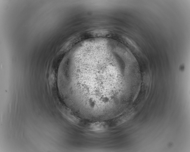 X0000090430761200707272131