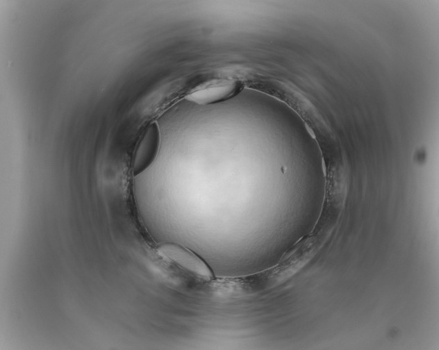 X0000090430762200707272131