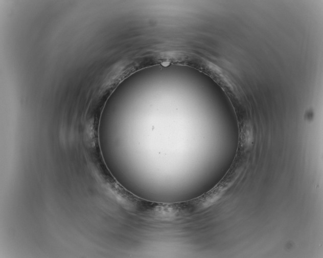 X0000090430764200707272131