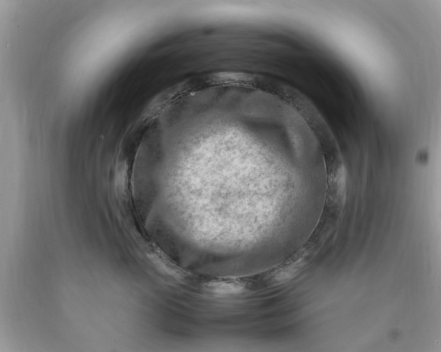 X0000090430765200707272131