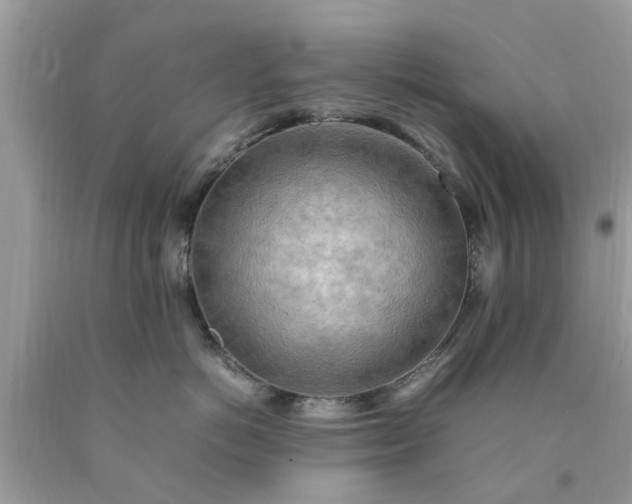 X0000090430766200707272131