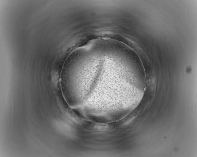 X0000090430767200707272131