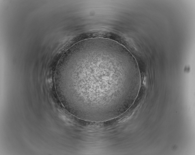 X0000090430771200707272131