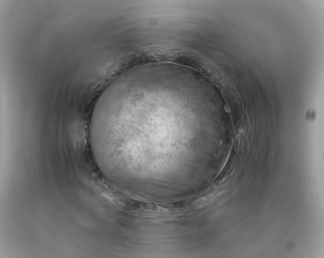 X0000090430772200707272131