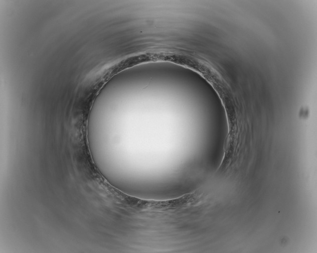 X0000090430773200707272131