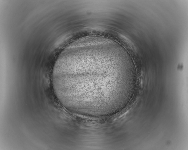 X0000090430774200707272131