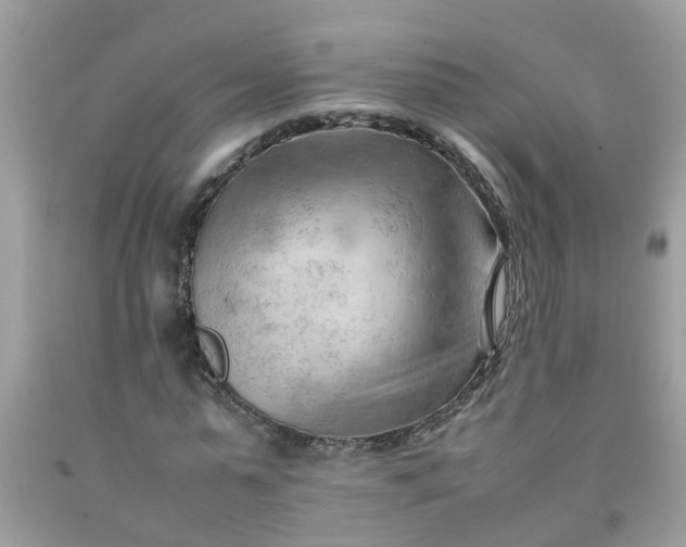 X0000090430775200707272131