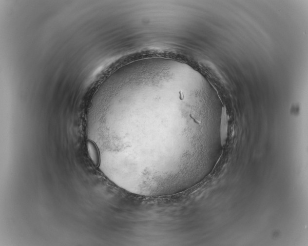 X0000090430776200707272131