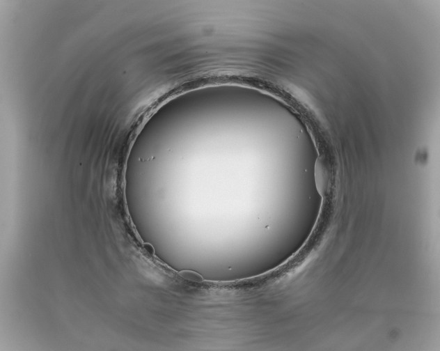 X0000090430777200707272130