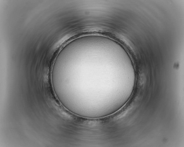 X0000090430778200707272130