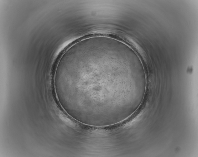 X0000090430779200707272130