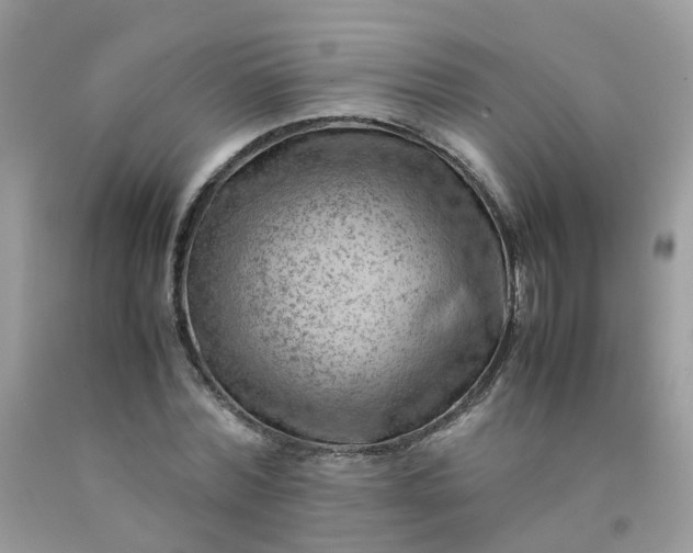 X0000090430780200707272130