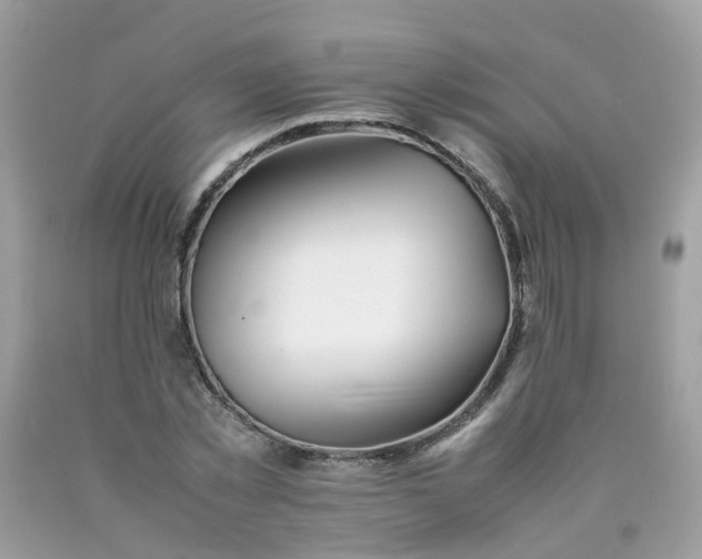 X0000090430781200707272130