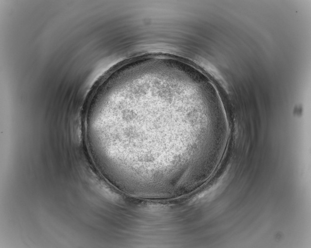 X0000090430782200707272130