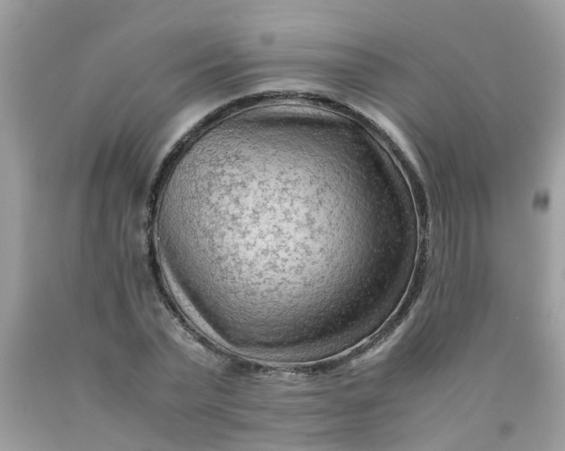 X0000090430783200707272130