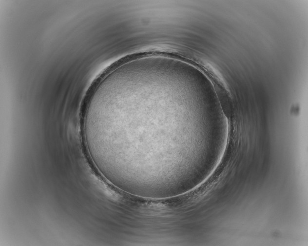 X0000090430784200707272130