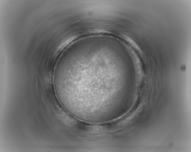 X0000090430785200707272130