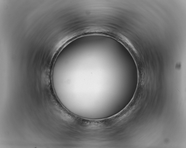 X0000090430786200707272130